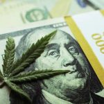 Response to California Cannabis Public Bank Feasibility Study